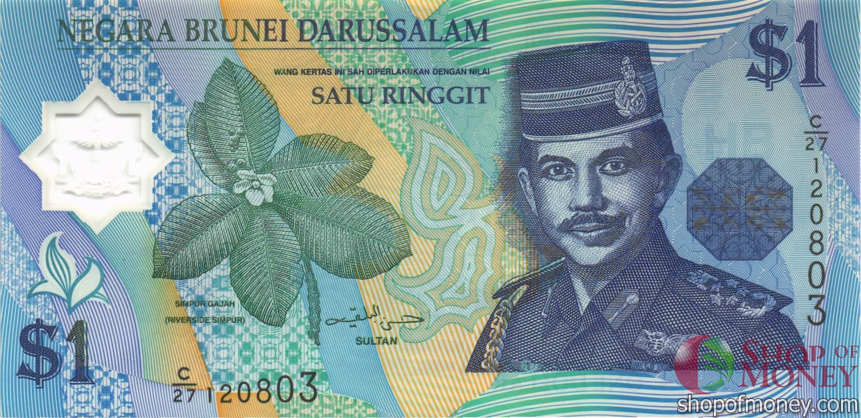 БРУНЕЙ 1 РИНГГИТ мини 1