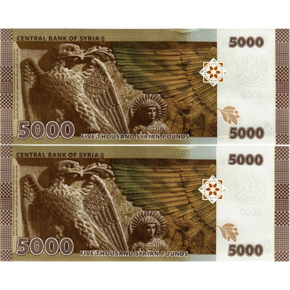 СИРИЯ НАБОР 5000 ФУНТОВ (H/69 4280428 & H/70 4280428) мини 2