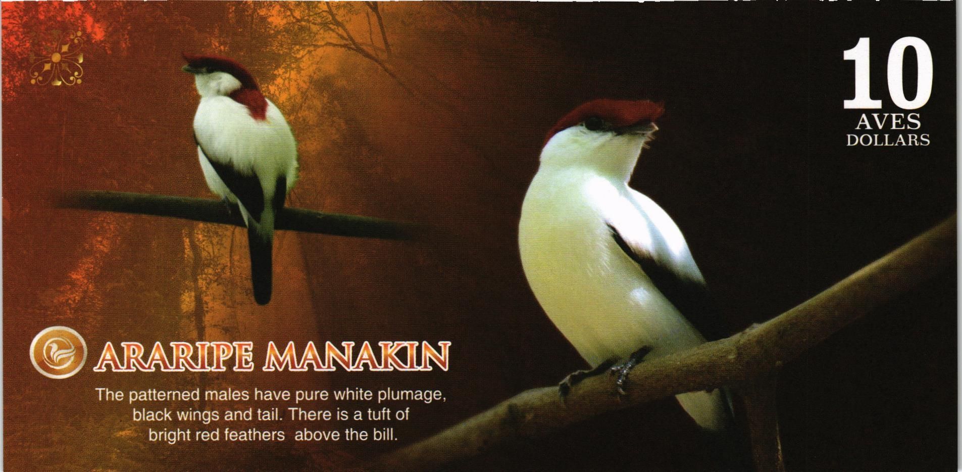 АТЛАНТИЧЕСКИЙ ЛЕС 10 ДОЛЛАРОВ мини 2