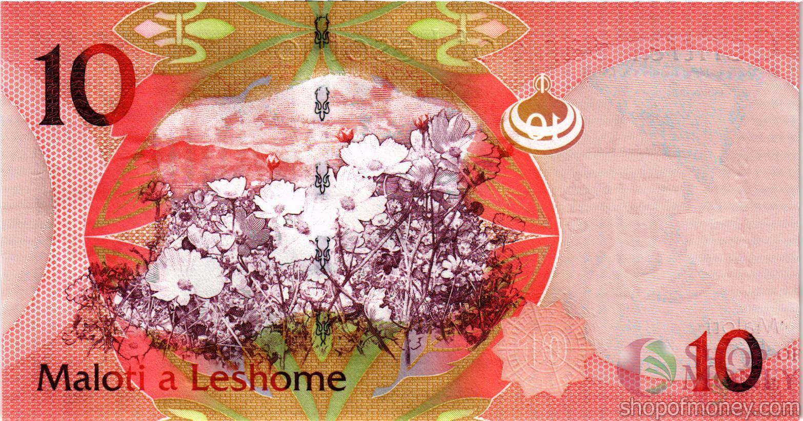 ЛЕСОТО 10 МАЛОТИ мини 2