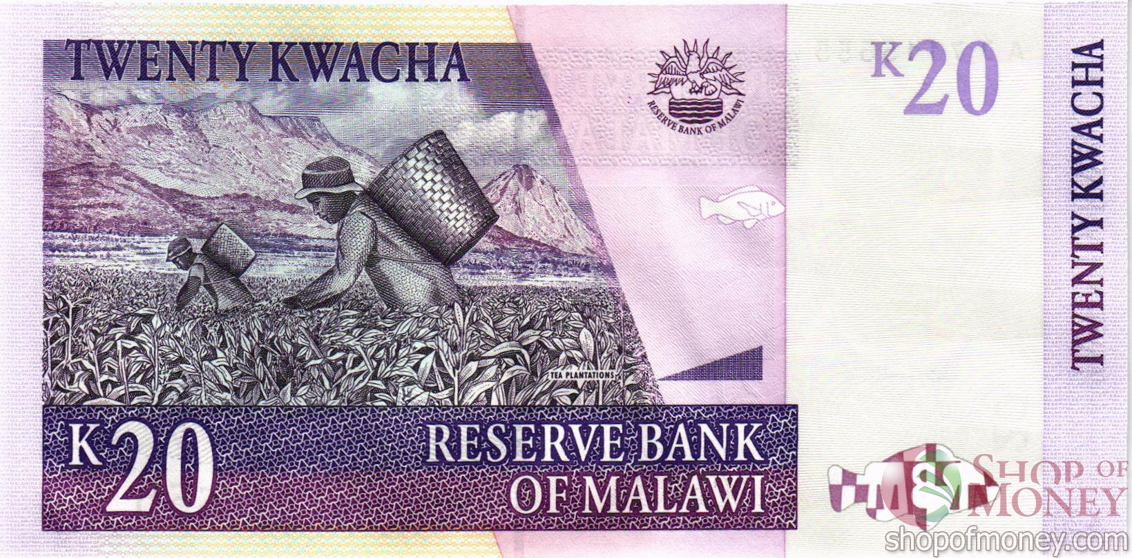 МАЛАВИ 20 КВАЧА #AJ7115555 мини 2