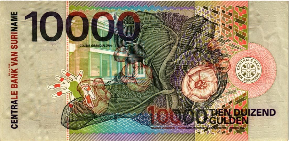 СУРИНАМ 10000 ГУЛЬДЕНОВ мини 2