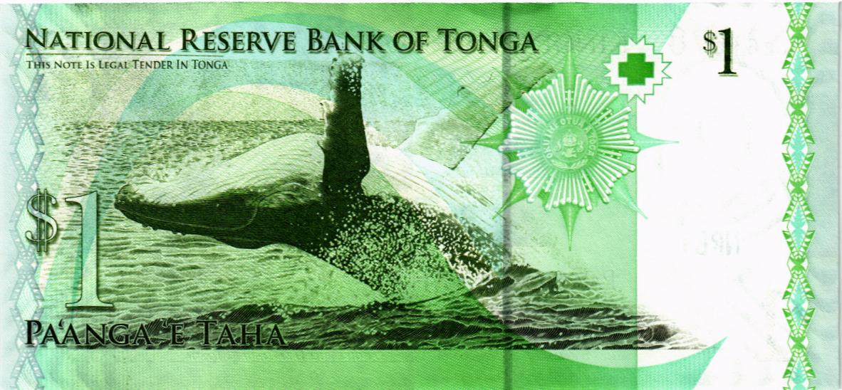 ТОНГА 1 ПААНГА мини 2