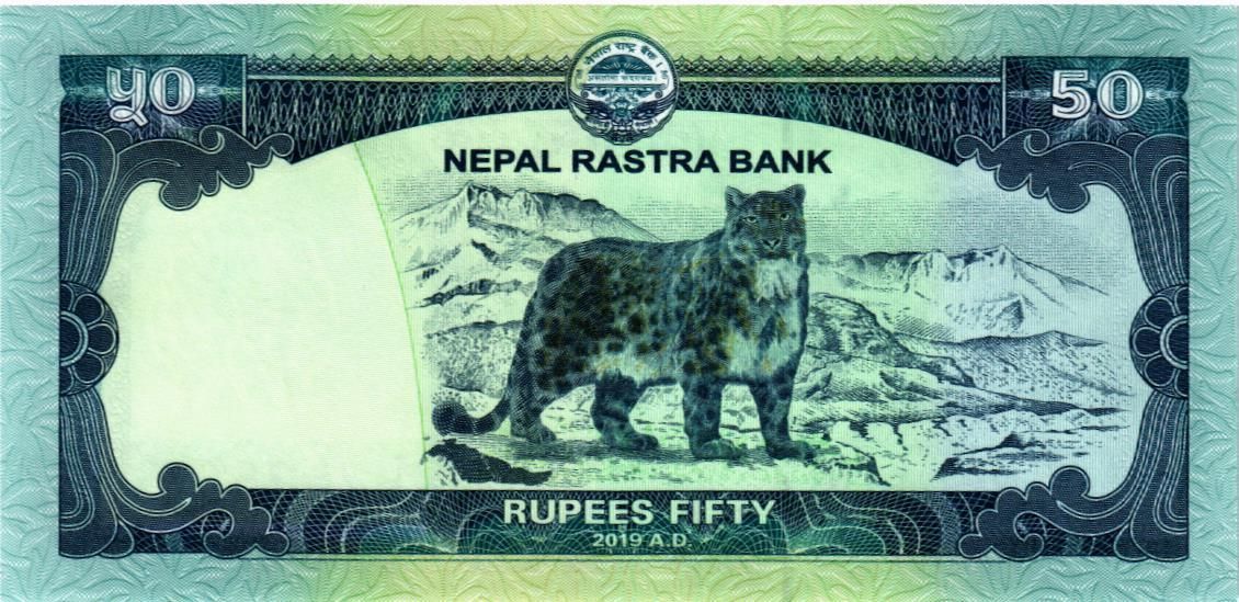 НЕПАЛ 50 РУПИЙ мини 2