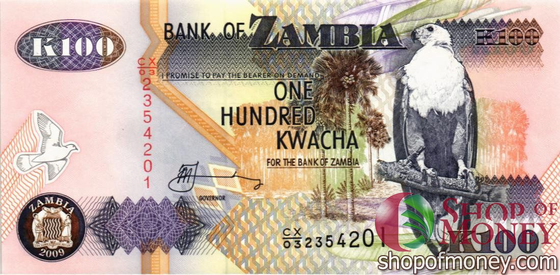 ЗАМБИЯ 100 КВАЧА мини 1