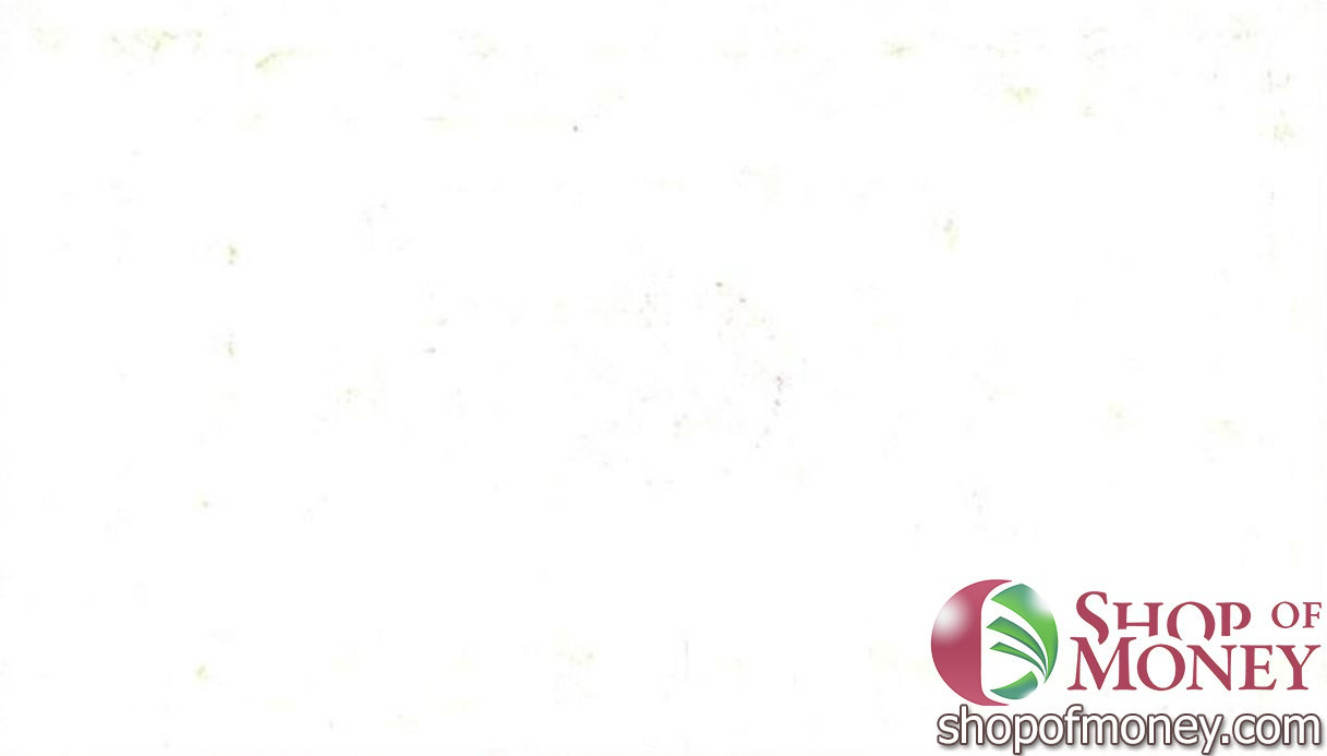 КИТАЙ (РИСОВЫЕ ДЕНЬГИ) ТАЛОН мини 2