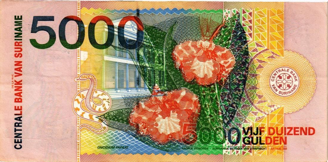 СУРИНАМ 5000 ГУЛЬДЕНОВ мини 2