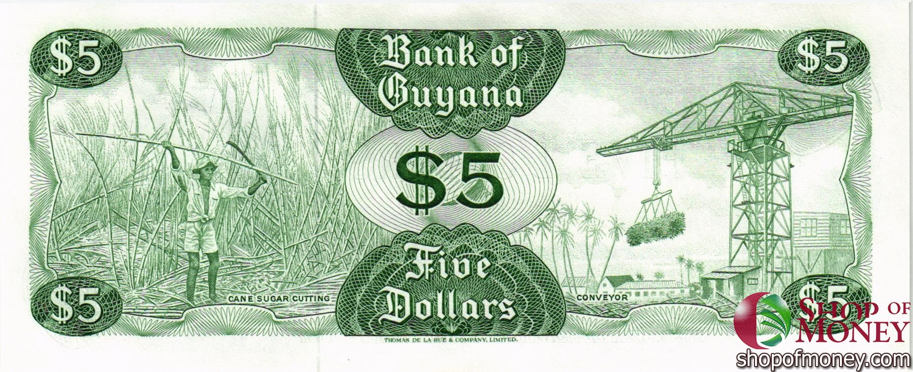 ГАЙАНА 5 ДОЛЛАРОВ мини 2