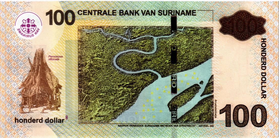 СУРИНАМ 100 ДОЛЛАРОВ мини 2