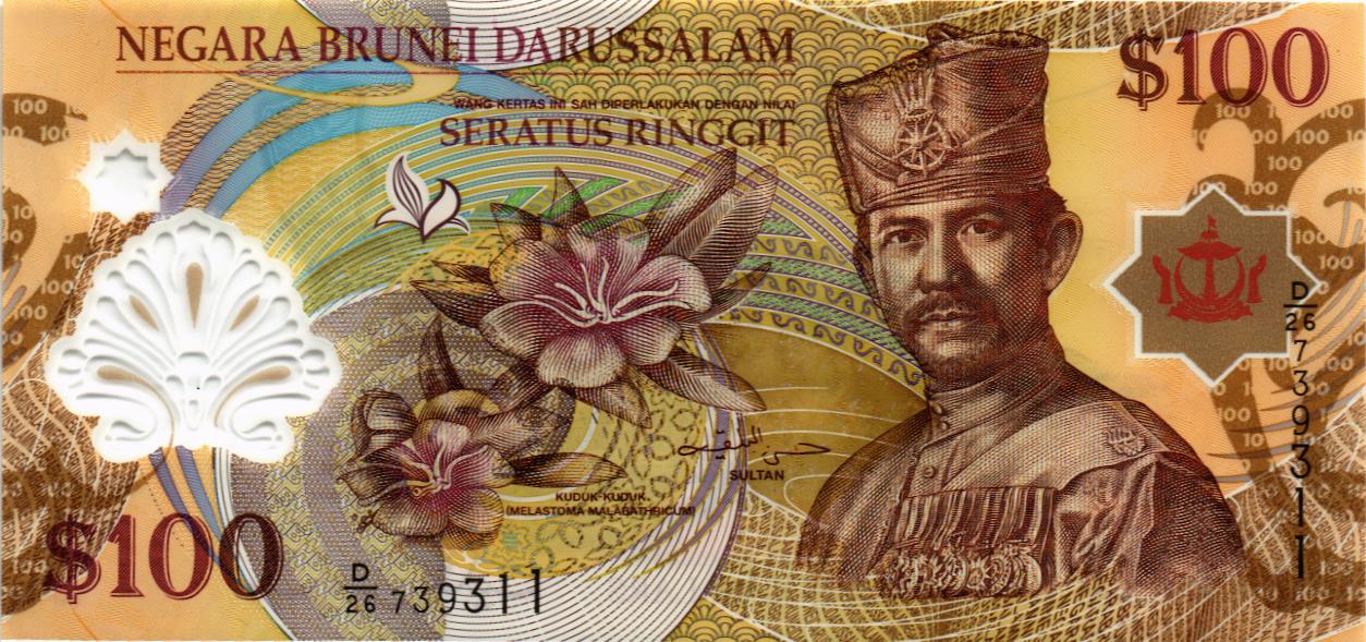 БРУНЕЙ 100 РИНГГИТ мини 1