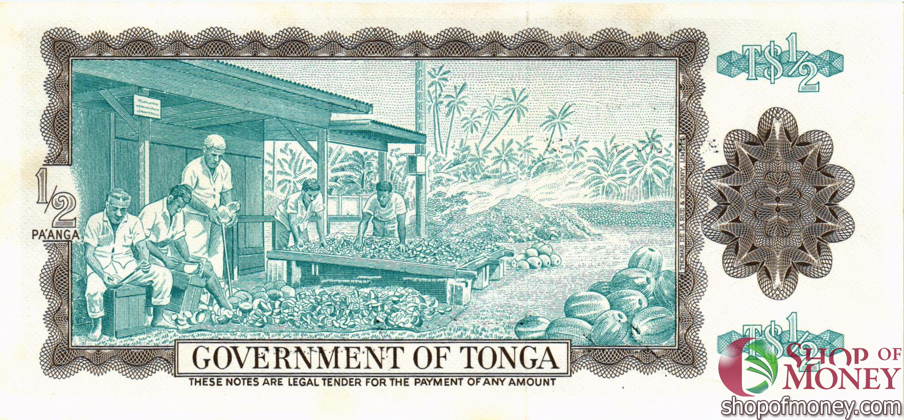ТОНГА 1/2 ПААНГА мини 2