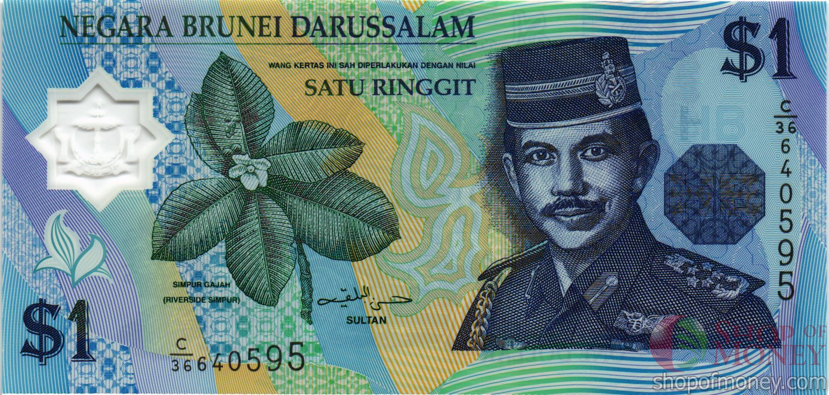 БРУНЕЙ 1 РИНГГИТ мини 1
