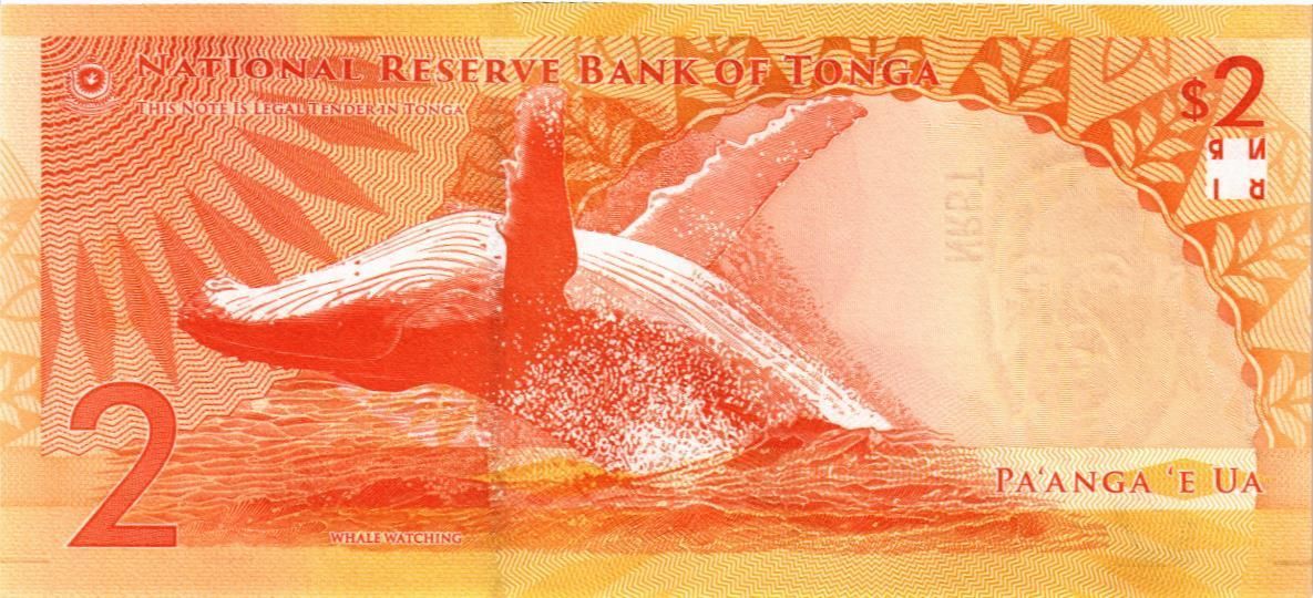 ТОНГА 2 ПААНГА мини 2
