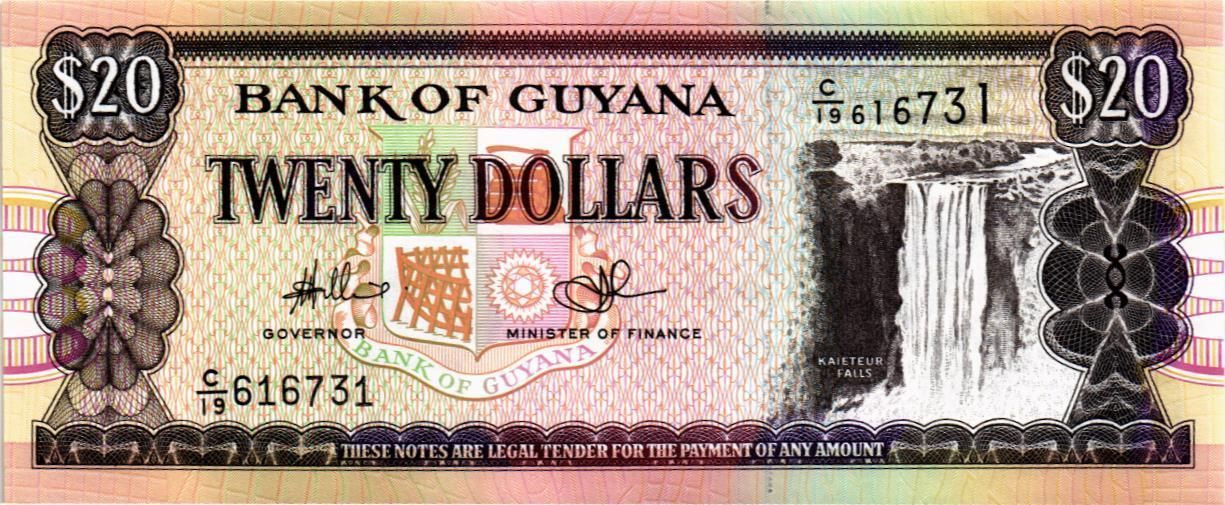 ГАЙАНА 20 ДОЛЛАРОВ мини 1