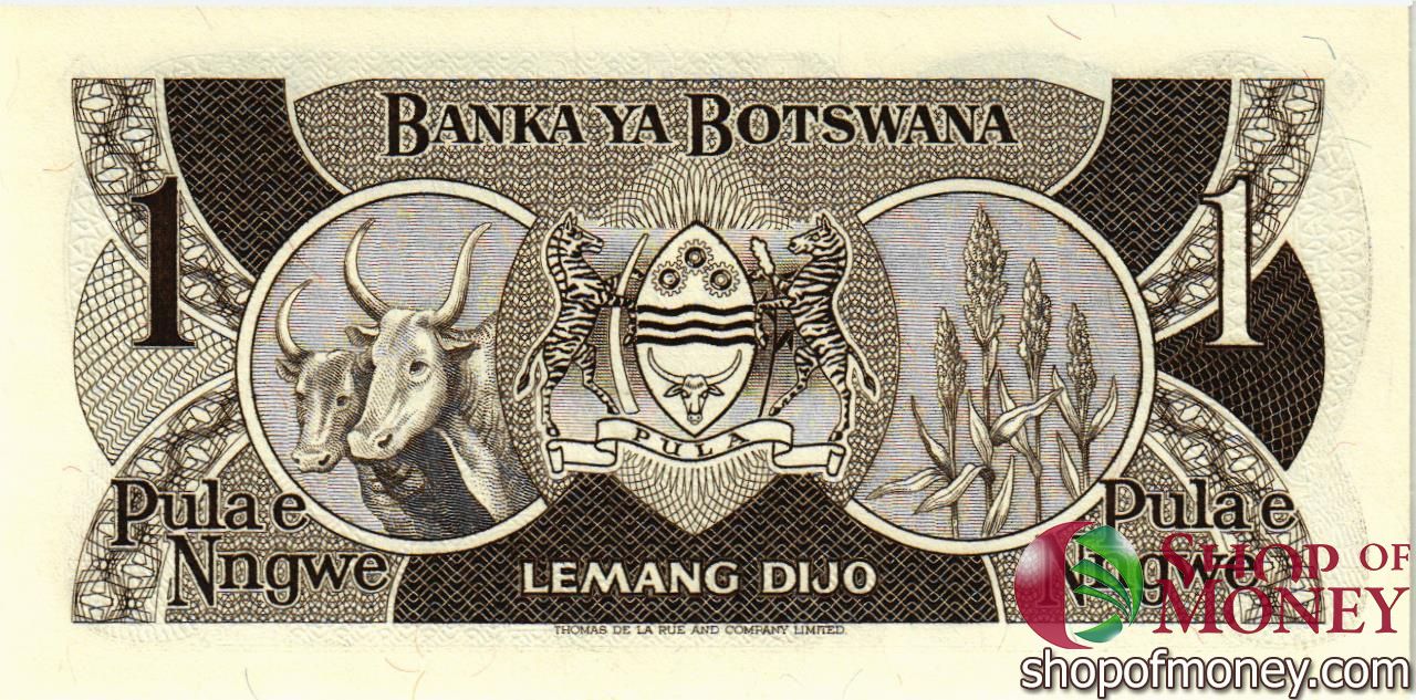 БОТСВАНА 1 ПУЛА мини 2