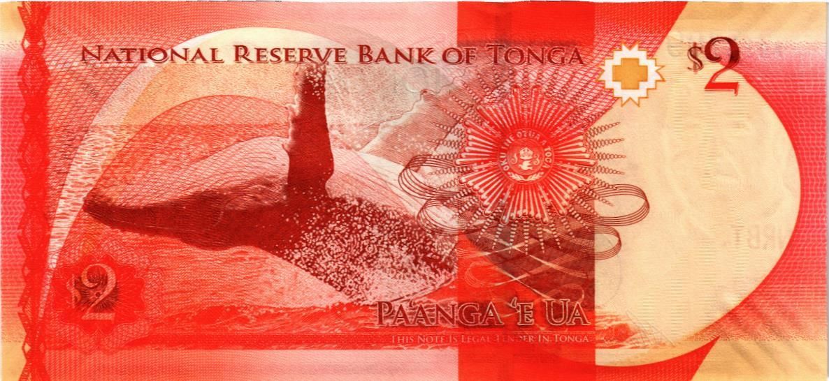 ТОНГА 2 ПААНГА мини 2