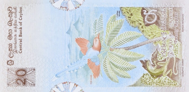ШРИ-ЛАНКА (ЦЕЙЛОН) 20 РУПИЙ (PMG - GRADE 65) мини 4