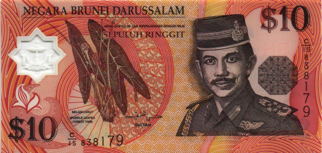 БРУНЕЙ 10 РИНГГИТ мини 1