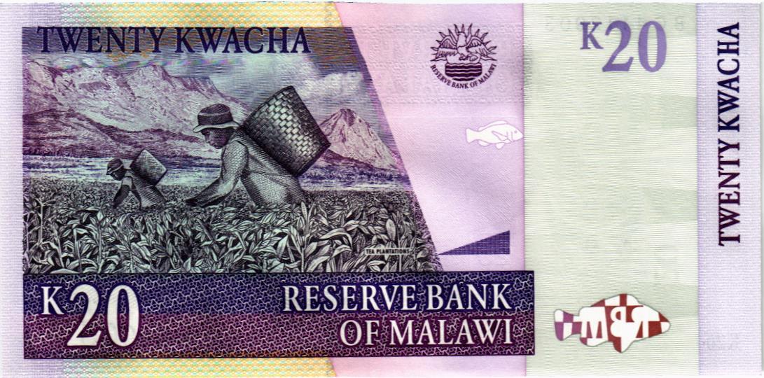 МАЛАВИ 20 КВАЧА мини 2