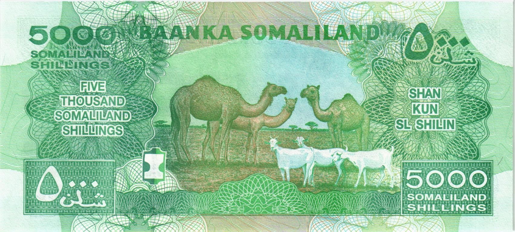СОМАЛИЛЕНД 5000 ШИЛЛИНГОВ мини 2