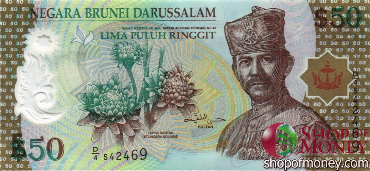 БРУНЕЙ 50 РИНГГИТ мини 1