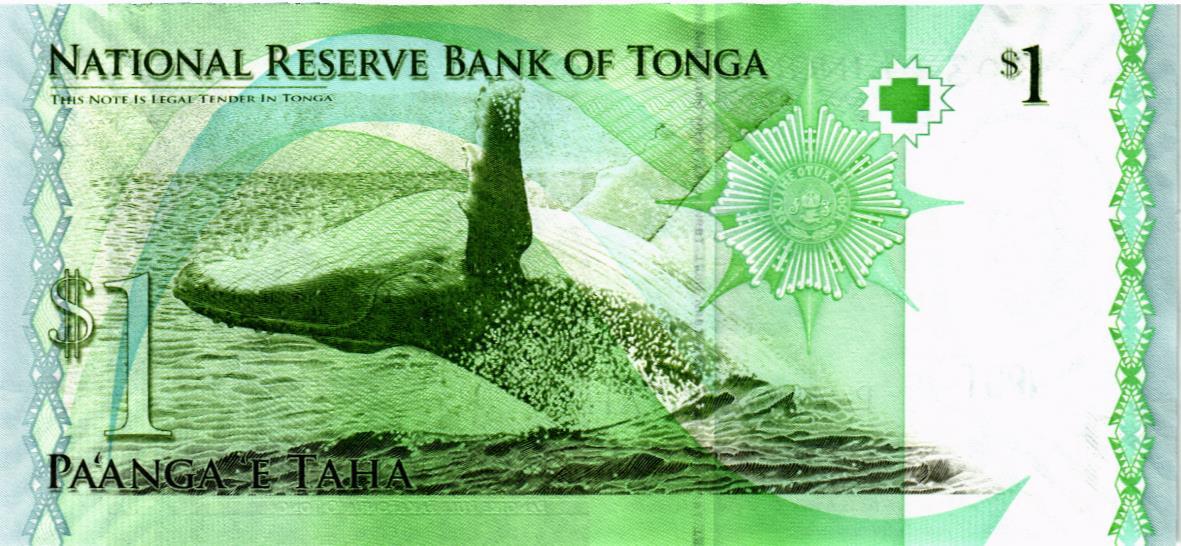 ТОНГА 1 ПААНГА мини 2