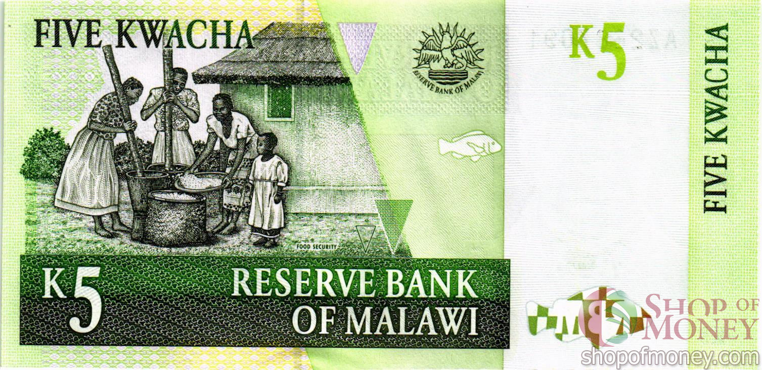 МАЛАВИ 5 КВАЧА мини 2