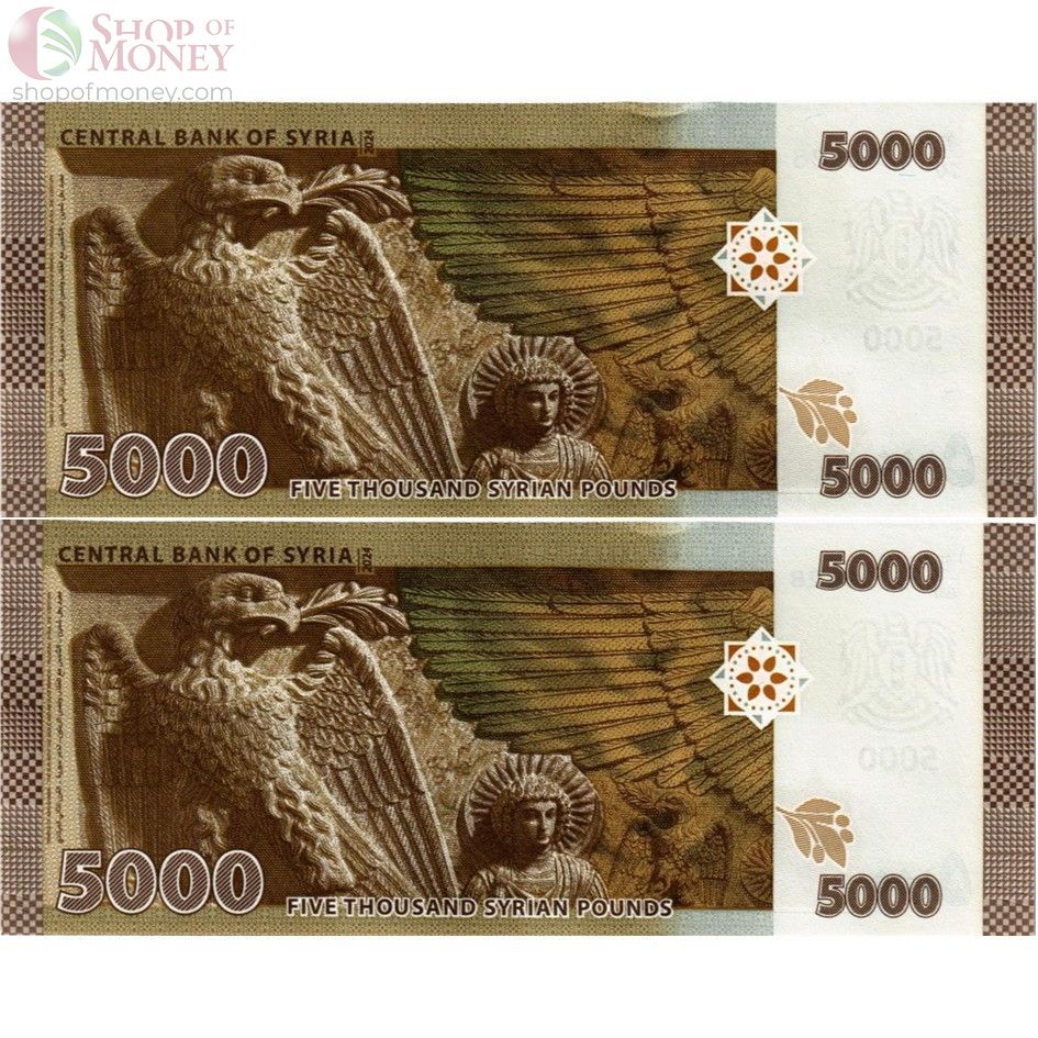 СИРИЯ НАБОР 5000 ФУНТОВ (H/69 4280428 & H/70 4280428) 2