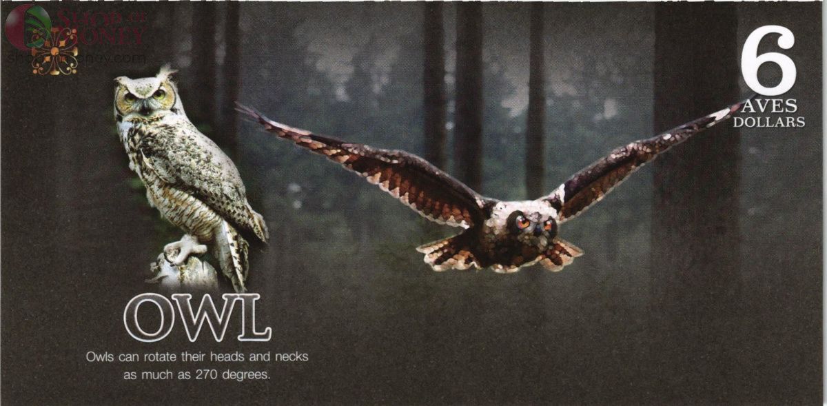 АТЛАНТИЧЕСКИЙ ЛЕС 6 ДОЛЛАРОВ 2