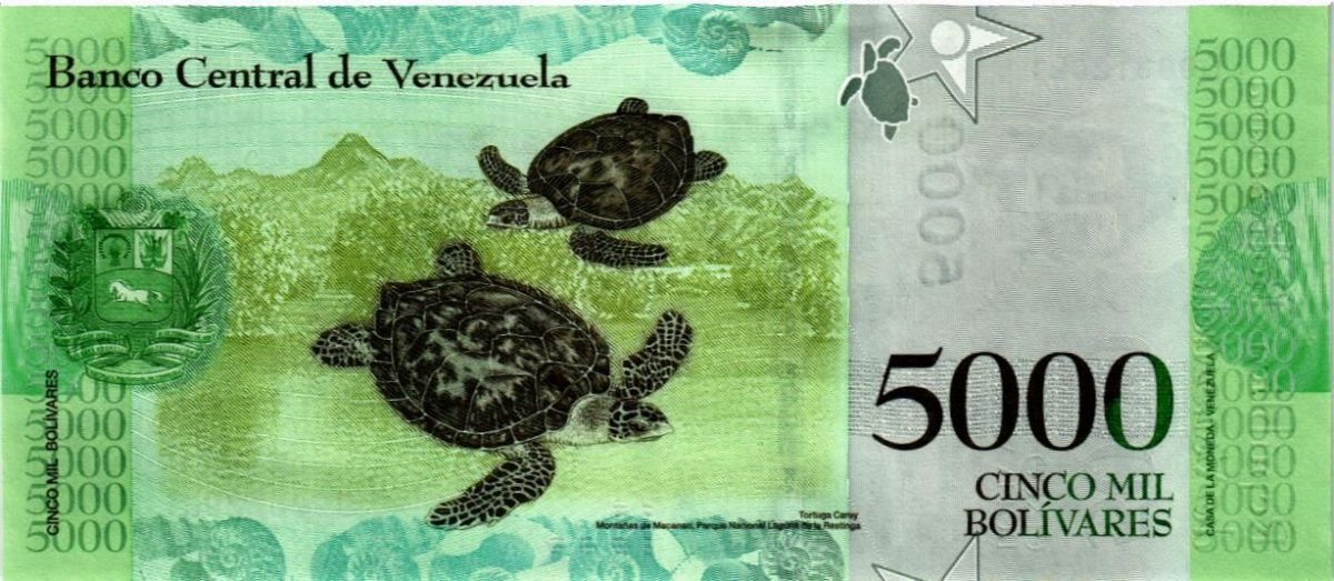 ВЕНЕСУЭЛА 5000 БОЛИВАР (13.12.2017) 2