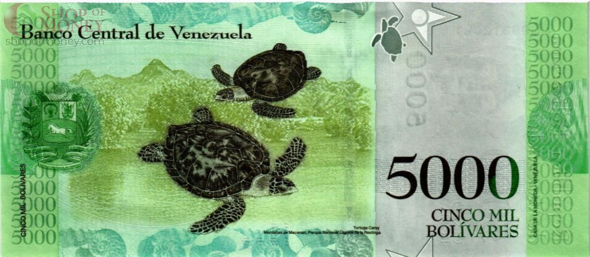 ВЕНЕСУЭЛА 5000 БОЛИВАР (13.12.2017) 2
