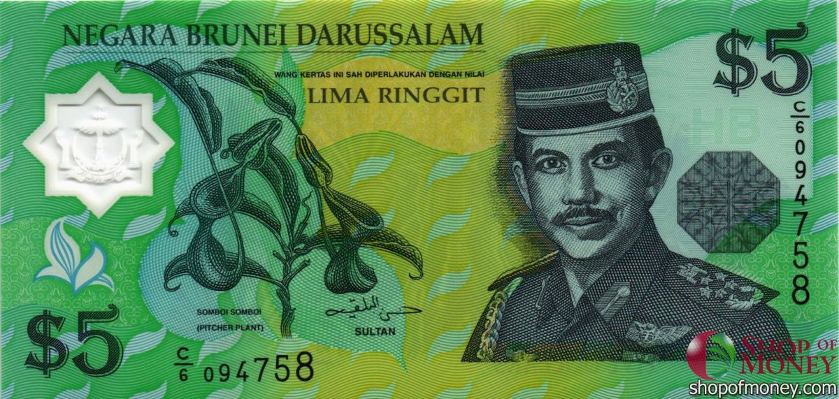 БРУНЕЙ 5 РИНГГИТ 1