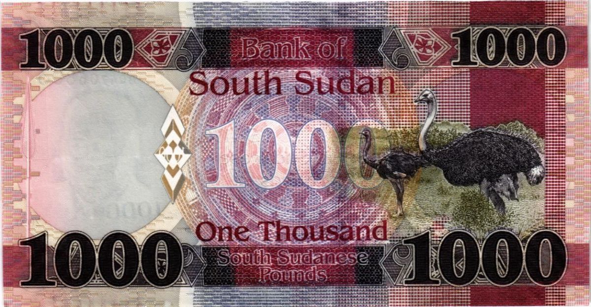 ЮЖНЫЙ СУДАН 1000 ФУНТОВ 2