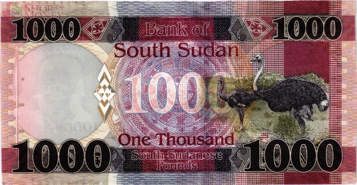 ЮЖНЫЙ СУДАН 1000 ФУНТОВ 2