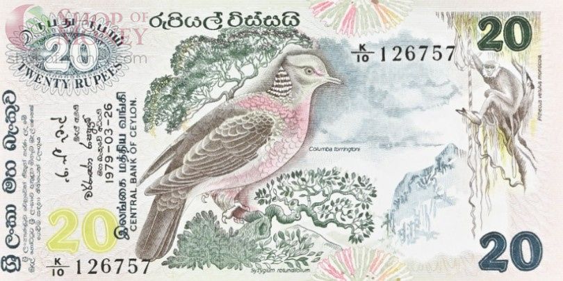 ШРИ-ЛАНКА (ЦЕЙЛОН) 20 РУПИЙ (PMG - GRADE 65) 3