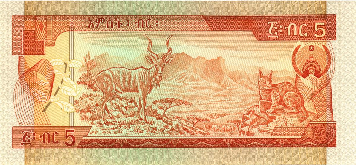 ЭФИОПИЯ 5 БЫР 2
