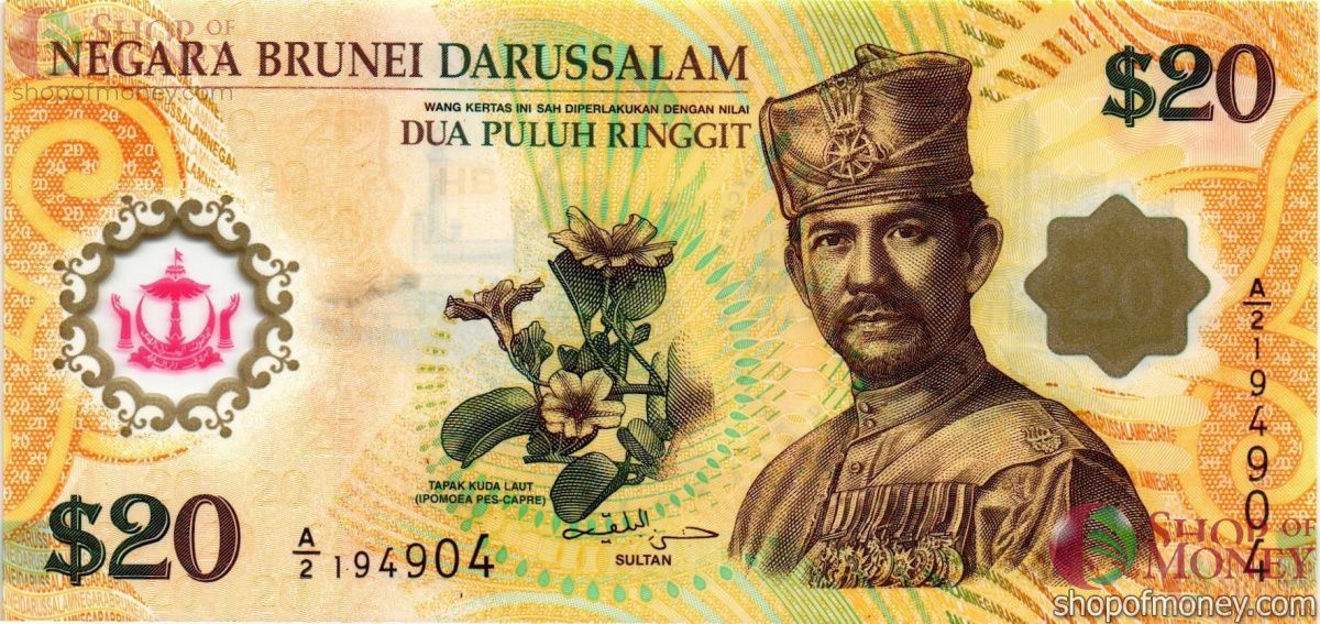 БРУНЕЙ 20 РИНГГИТ 1