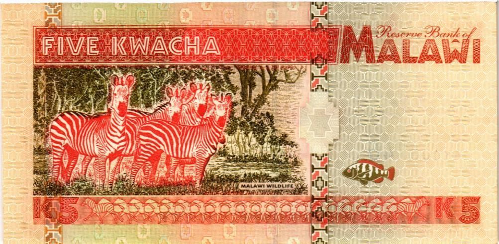 МАЛАВИ 5 КВАЧА 2