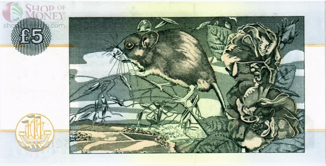 ШОТЛАНДИЯ 5 ФУНТОВ (CLYDESDALE BANK) 2