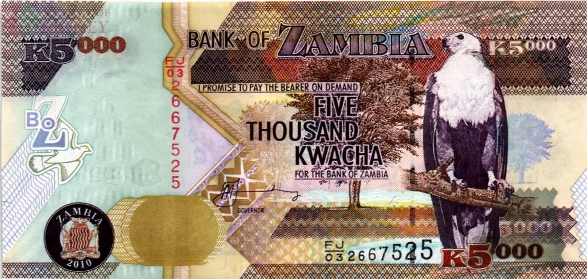 ЗАМБИЯ 5000 КВАЧА 1