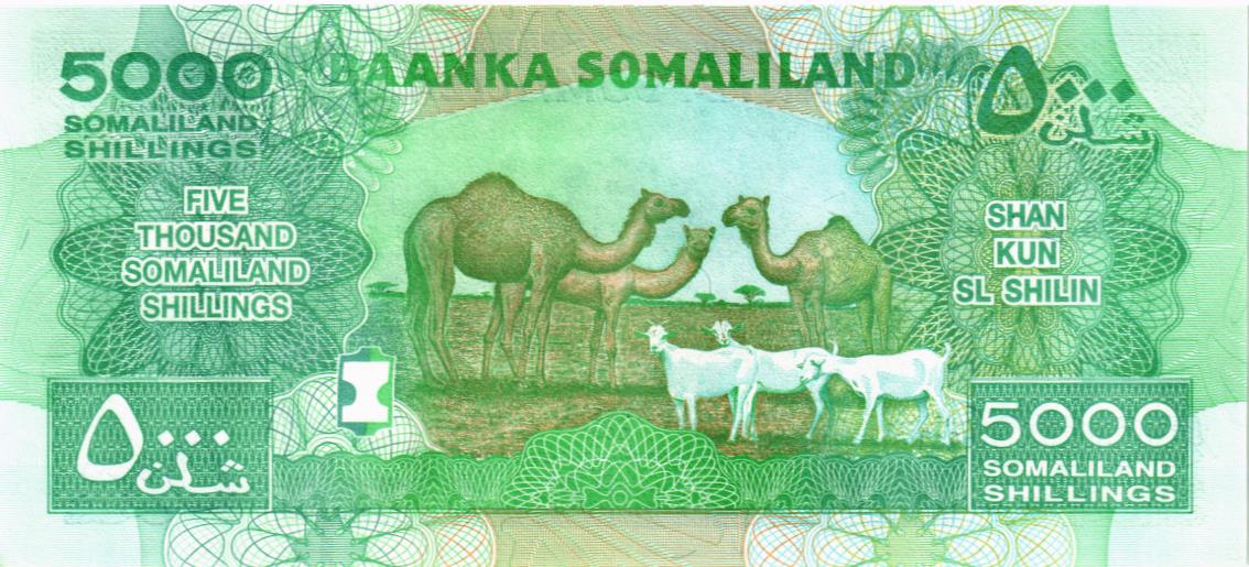 СОМАЛИЛЕНД 5000 ШИЛЛИНГОВ 2