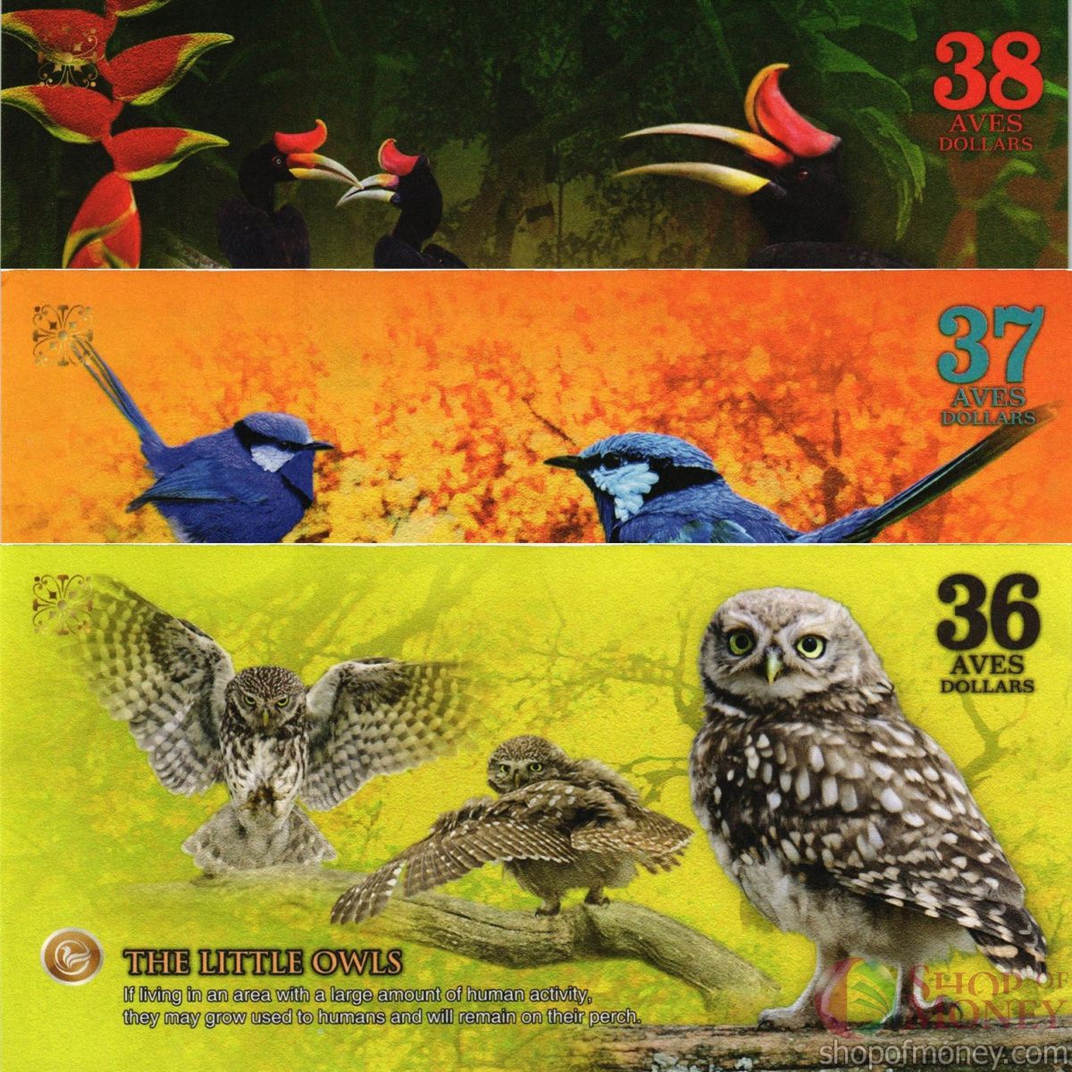 АТЛАНТИЧЕСКИЙ ЛЕС 36-37-38 ДОЛЛАРОВ 2