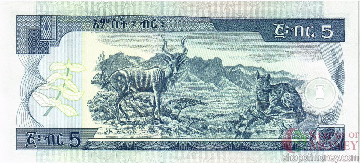 ЭФИОПИЯ 5 БЫР # DJ 7064999 2