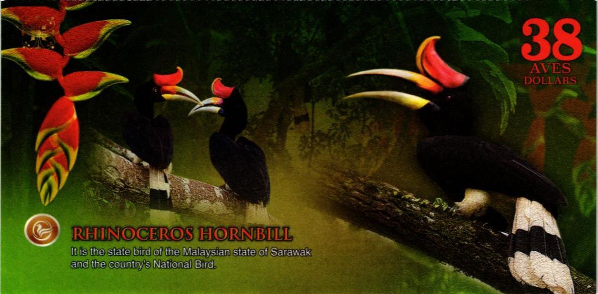 АТЛАНТИЧЕСКИЙ ЛЕС 38 ДОЛЛАРОВ 2