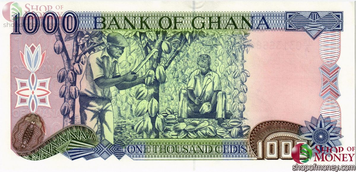 ГАНА 1000 СЕДИ 2