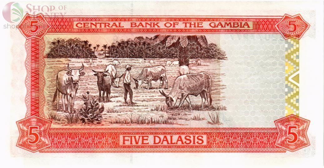 ГАМБИЯ 5 ДАЛАСИ 2