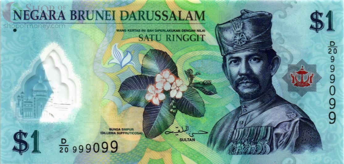 БРУНЕЙ 1 РИНГГИТ #D/20 999099 1
