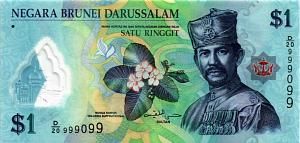 БРУНЕЙ 1 РИНГГИТ #D/20 999099 1