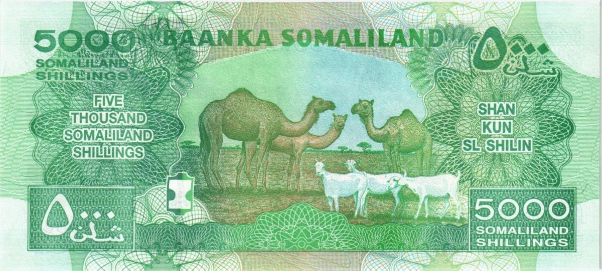 СОМАЛИЛЕНД 5000 ШИЛЛИНГОВ 2