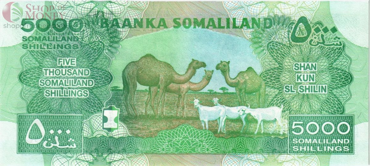 СОМАЛИЛЕНД 5000 ШИЛЛИНГОВ 2